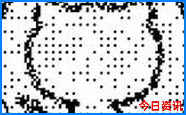 2025新澳天天开好彩大全资料